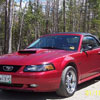Mustang Detailing