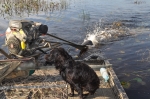  Backwater Mud Motor